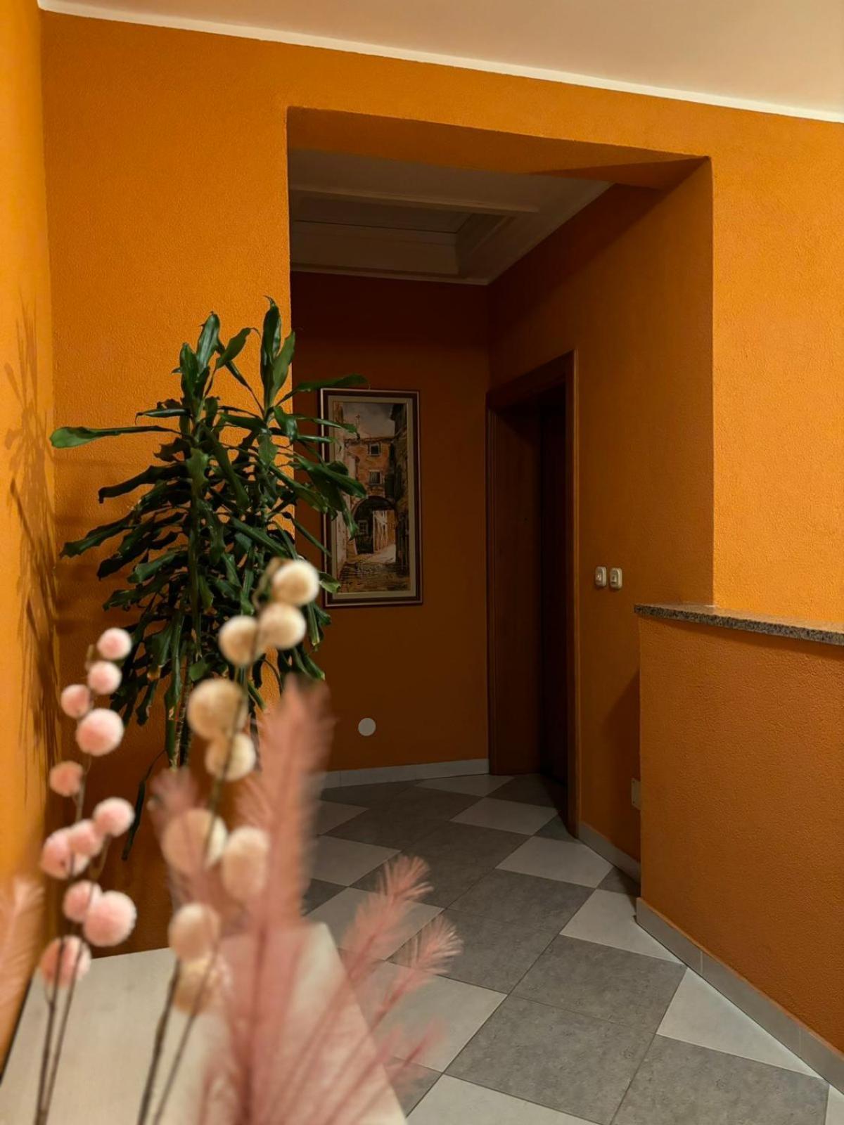 Apartment And Room Marlen 로비니스코 셀로 외부 사진